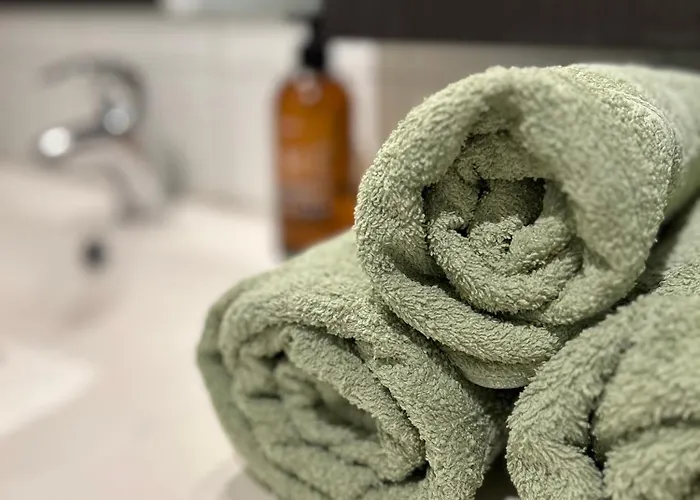 Sokkel-leilighet Med Naerhet Til Sentrum Og Hovden Skiheis